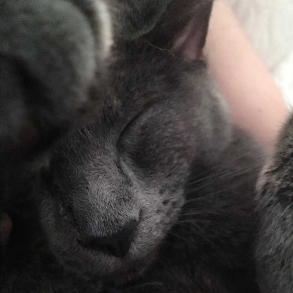 Meet your Posher, Erin